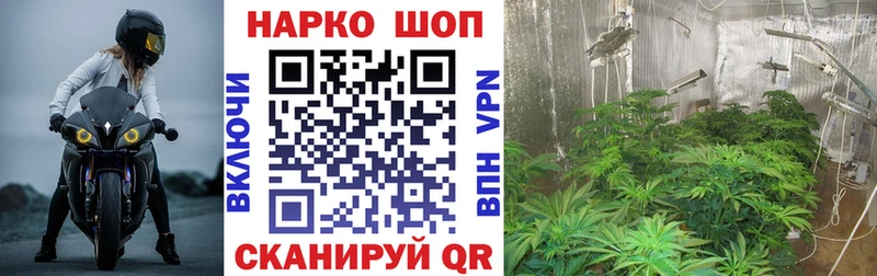 Купить закладку Гашиш  СОЛЬ  Мефедрон  АМФЕТАМИН  Cocaine  Конопля  Новотроицк