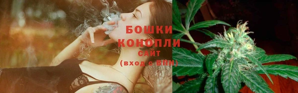 apvp Елабуга