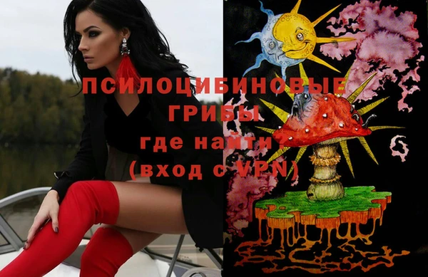 ешки Елизово