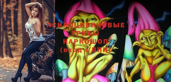 ешки Елизово